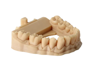 Résine Phrozen Water Washable Dental Model